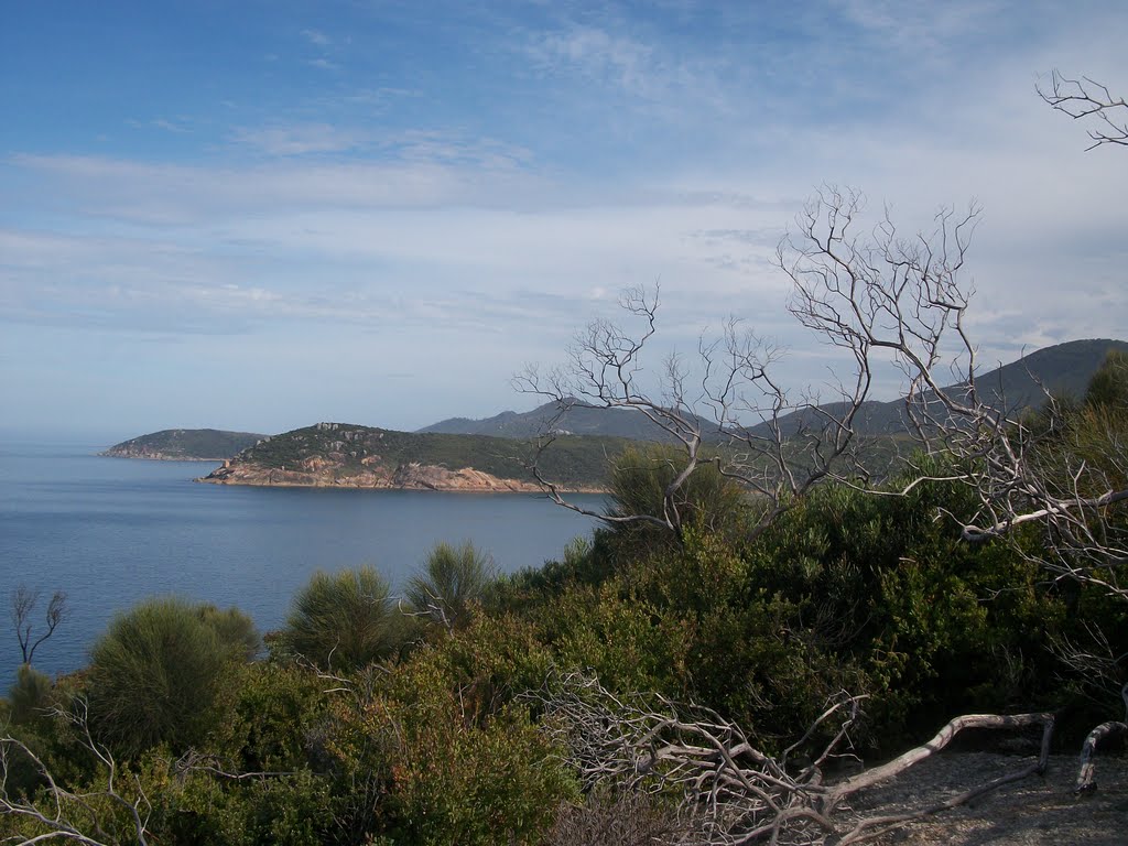 Looking North from Norman Point by Bardaster