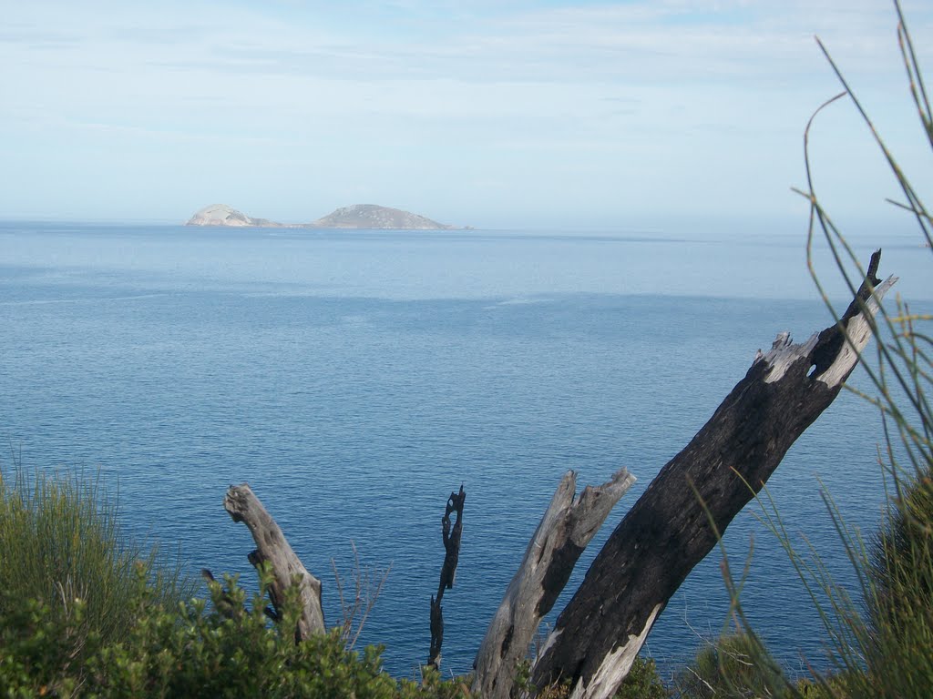 Norman Island from Norman Point by Bardaster