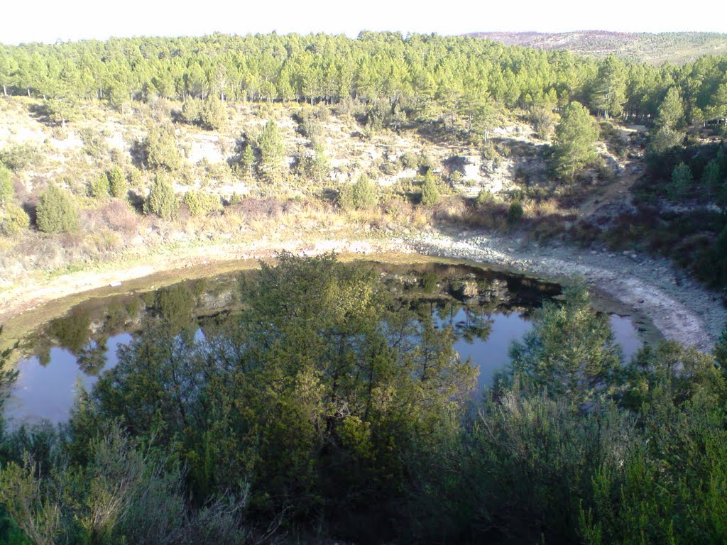 Lagunilla tejo by Pedro Garrido