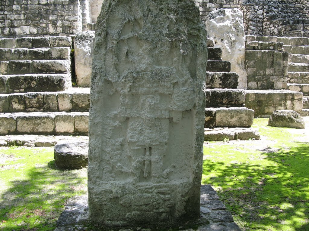 Stela 9 in front of Structure IVb, Calakmul by doit5404