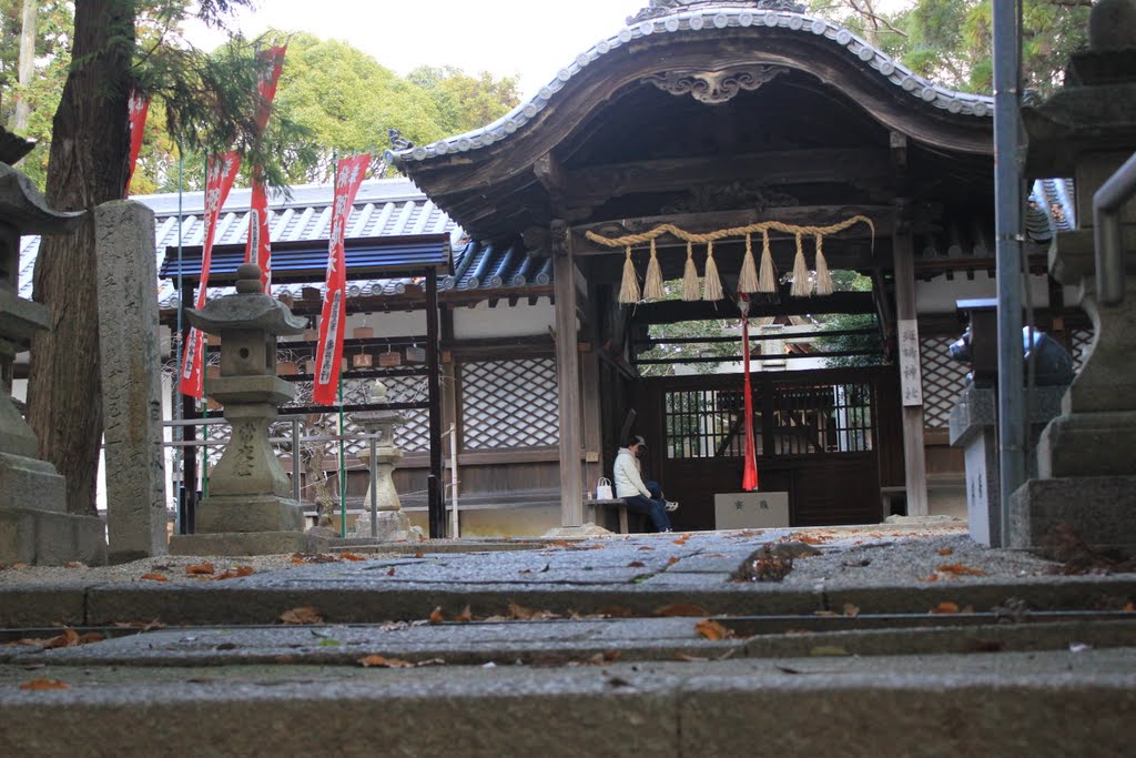 斑鳩神社 by rarewin