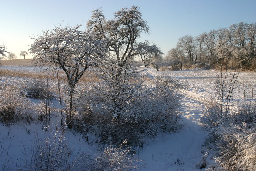 NATURE by Michel Troxler