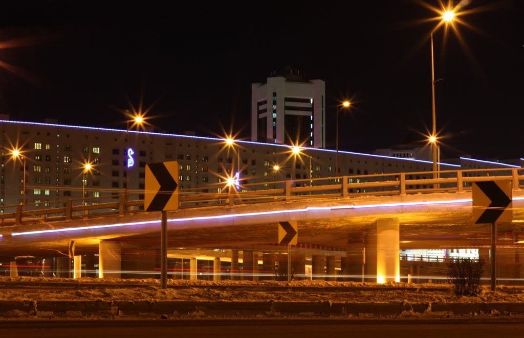 Astana, Kazakhstan. by Vladimir Fedorenko