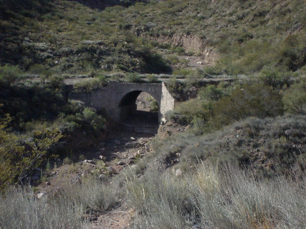 Luján de Cuyo, Mendoza, Argentina by mendozamariano