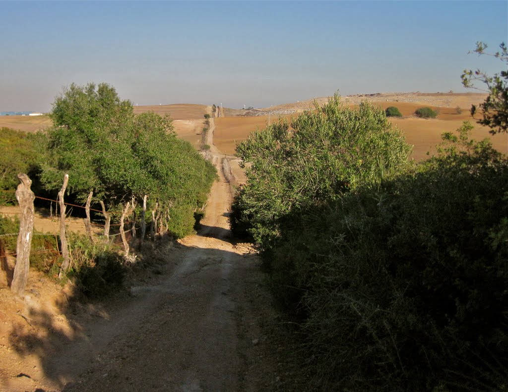 Medina-Sidonia, Cádiz, Spain by Ramon Diaz-Alersi