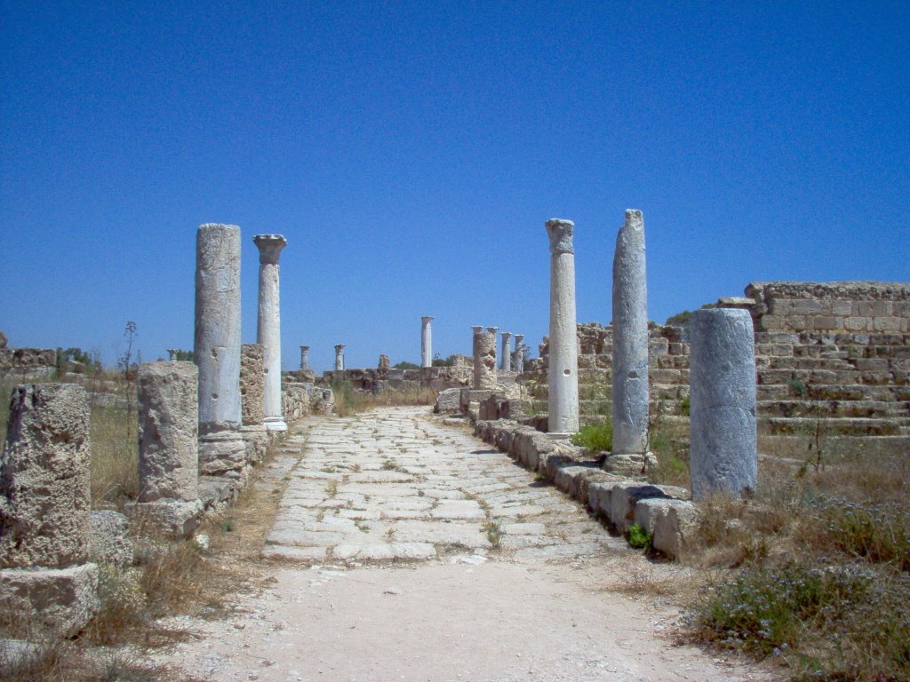 Cipro Nord.North Cyprus. Kuzey Kıbrıs. Salamina(Salamis), east cost of the island. by brezza