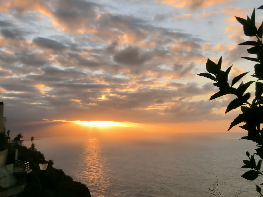 Tenerife by Ruth Paul