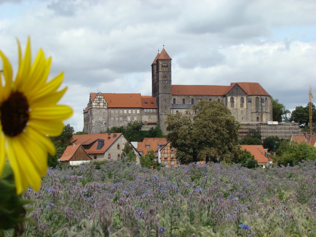 Quedlinburg ( Blick aus dem Abteigarten,zum Schloßberg. ) August 2011 by DortmundWestfalica