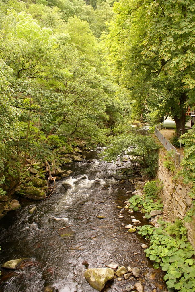 Bode an der Jungfernbrücke im Hirschgrund (Harz) by Atheistin