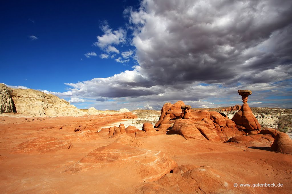 Toadstool Hoodoos by Thomas Galenbeck