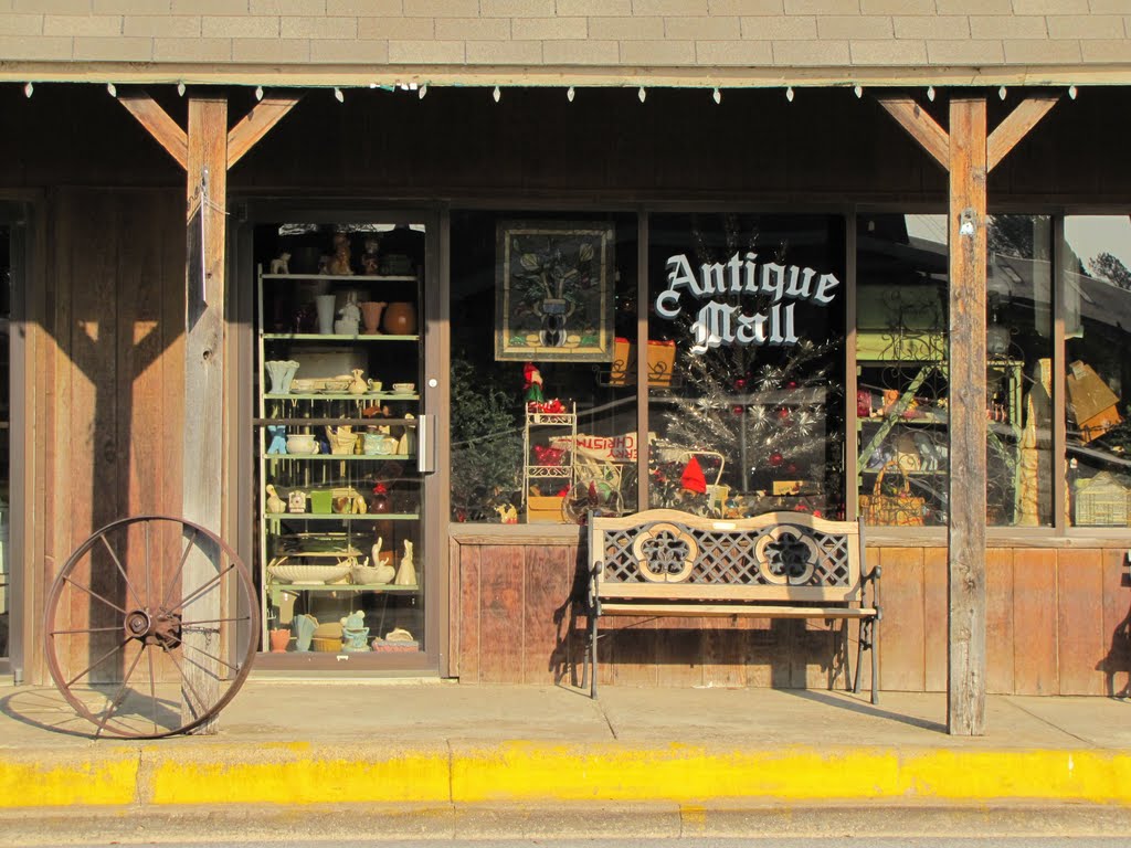 Downtown Carrollton Antique Shop by WOLFGANG DEMINO