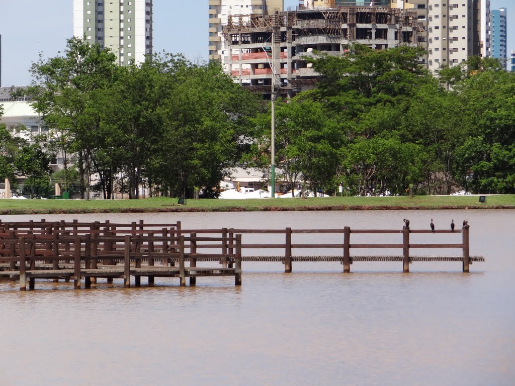 Parque Nações Indigenas, Campo Grande - MS, Brasil by Arthur HBrito