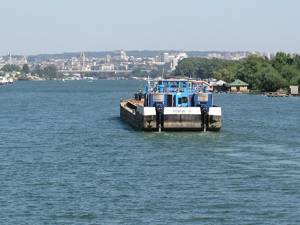 River Sava by males