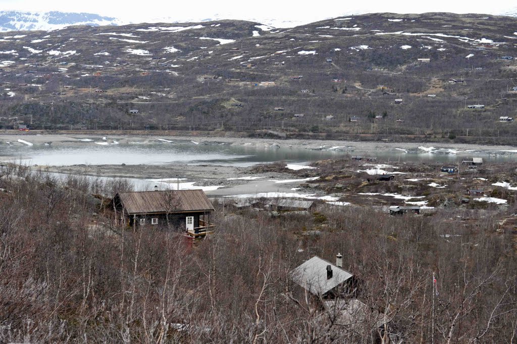 Norway-Haugastøl by Rui Simão