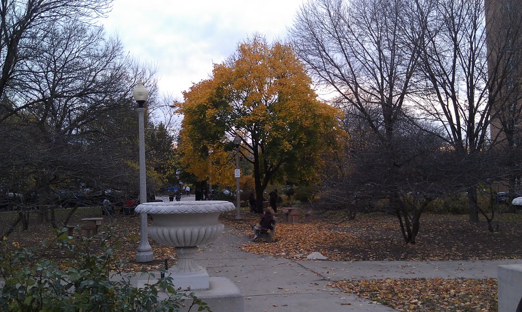 Wicker Park, Chicago, IL, USA by Steve_Si