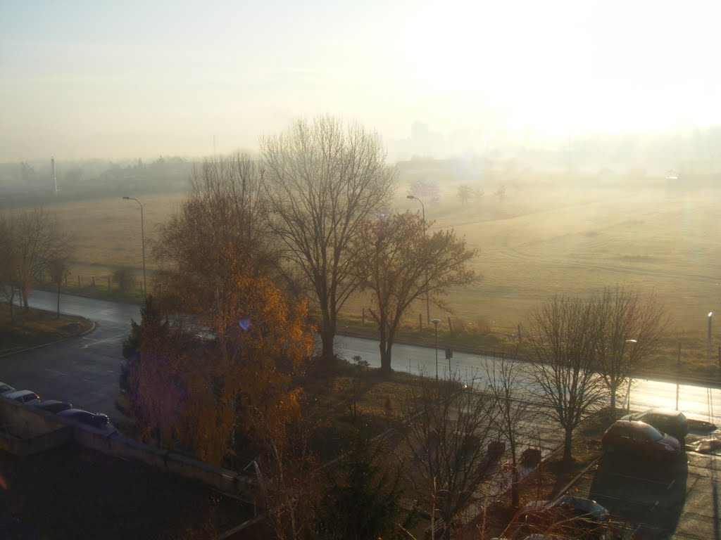 Niš, Srbija: Maglovito; Nis, Srbia: Misty by Veljko Nikolic