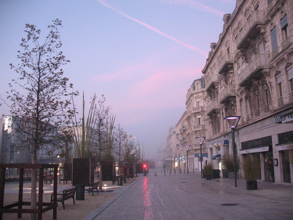 Les Boulevards dans le brouillard. by La tortue