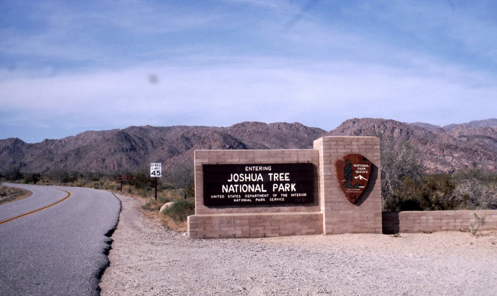 Joshua Tree National Park, by Marie E.