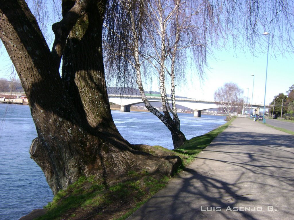 Puente Calle-Calle desde la Costanera de Valdivia by Luis Asenjo (chillit…