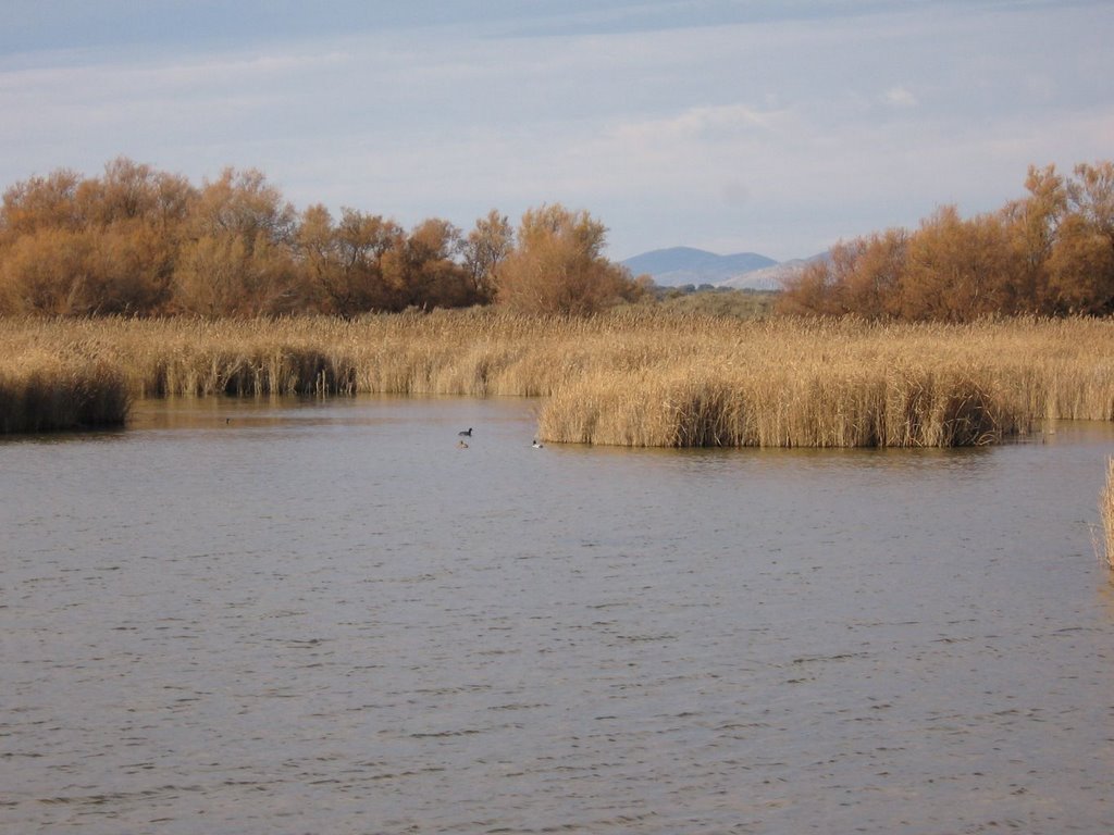 Parque Nacional de Las Tablas de Daimiel by isol