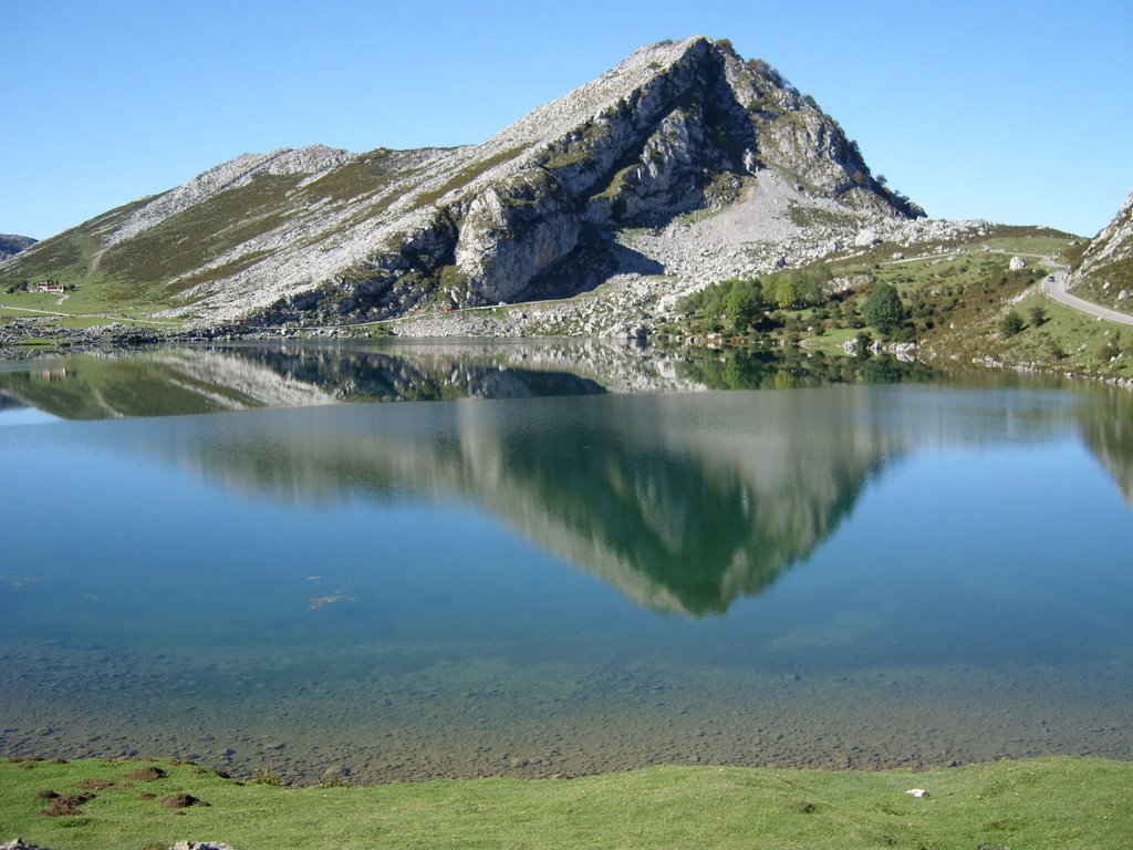 Lago Enol (Picos de Europa) by ribra