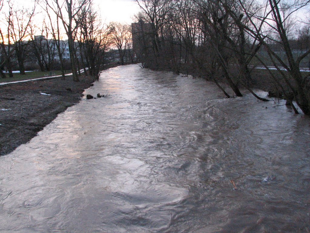 Hochwasser der Gera by Murmelmicha