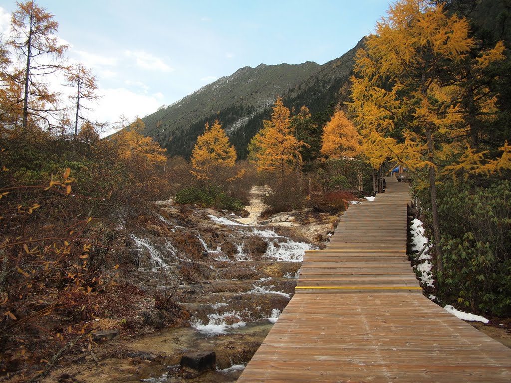 黄龙之秋 - Autumn in Huanglong - 2011.10 by Chen Huang