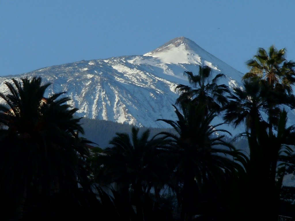 Pico del Teide mit frischem Schnee in der Morgensonne by Hansi Müller