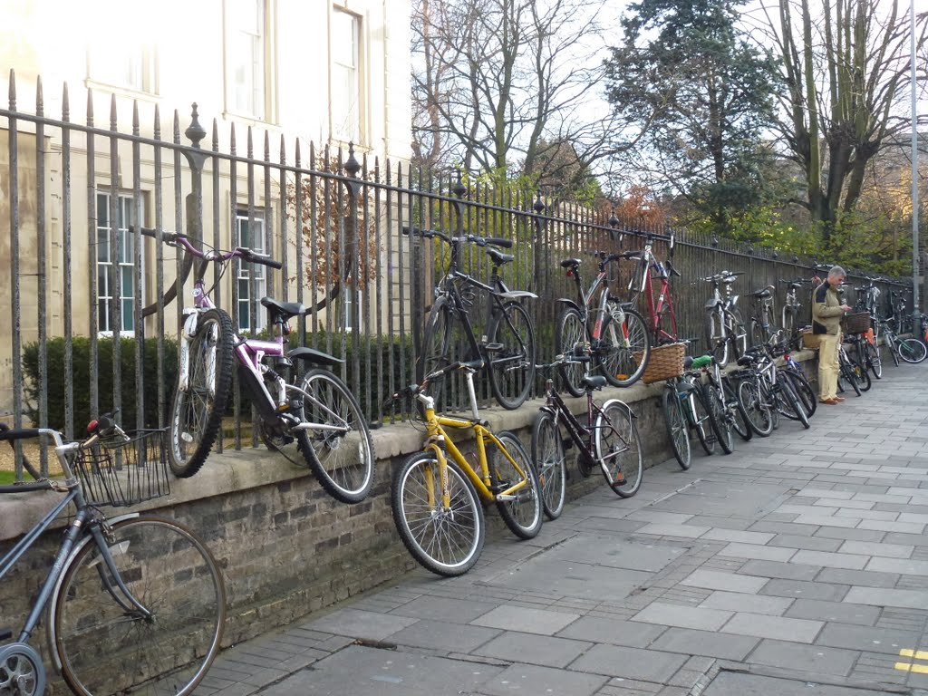 Biciclette parcheggiate in doppia fila sovrapposta by Tundrablu