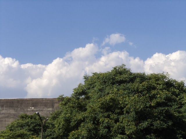 Vista A Partir da Universidade de São Paulo by Moe de Jong