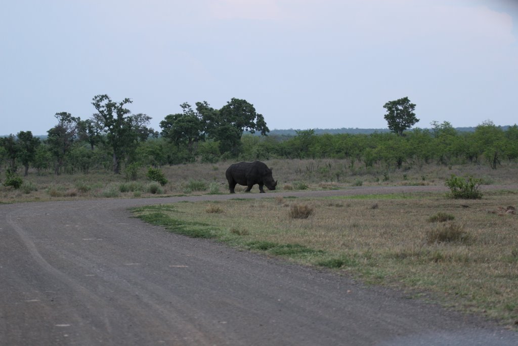 Kruger Park, South Africa by thompsoncm