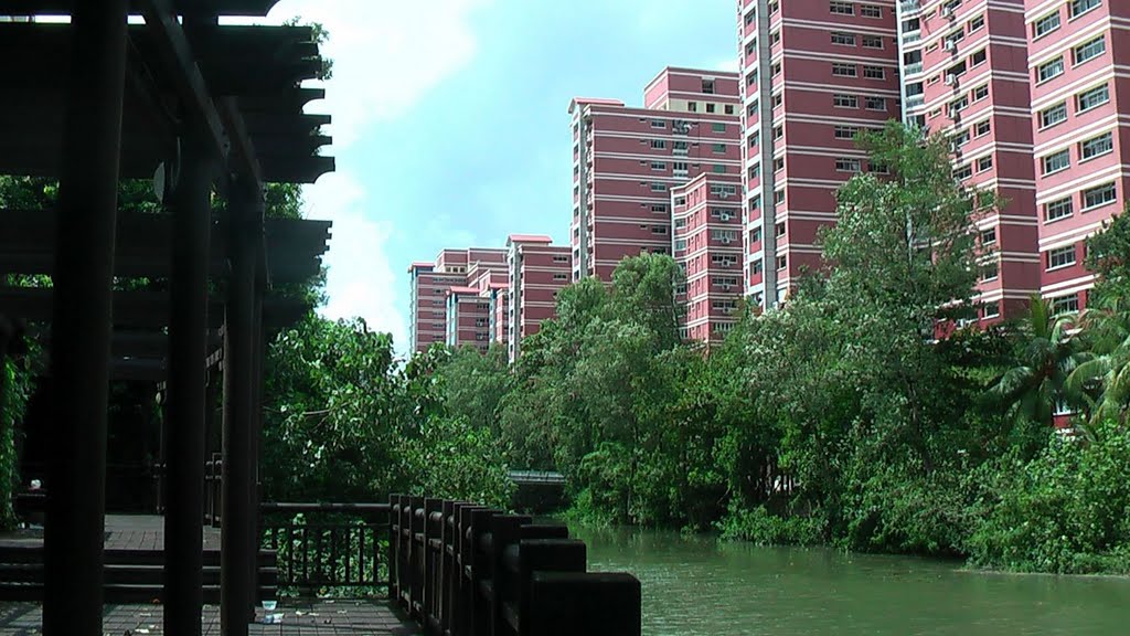 Sungei Api-Api - Pasir Ris by Jerry Heng