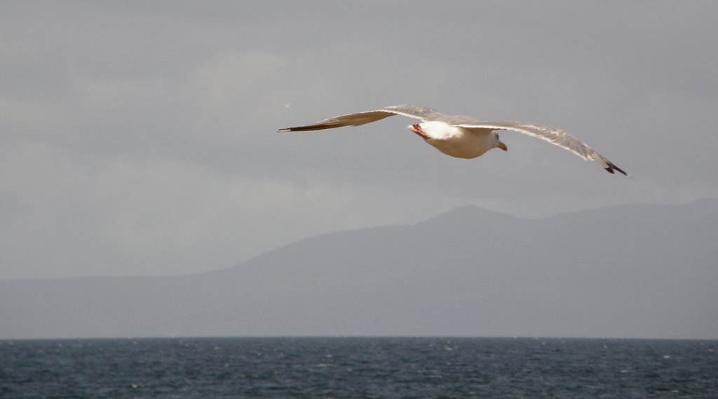 Bird's Eye View of Arran by © Douglas MacGregor