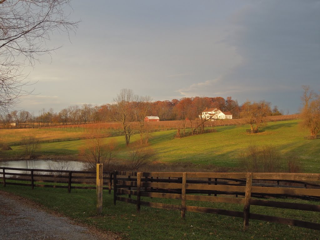 Catoctin, VA, USA by Sergey Dickey