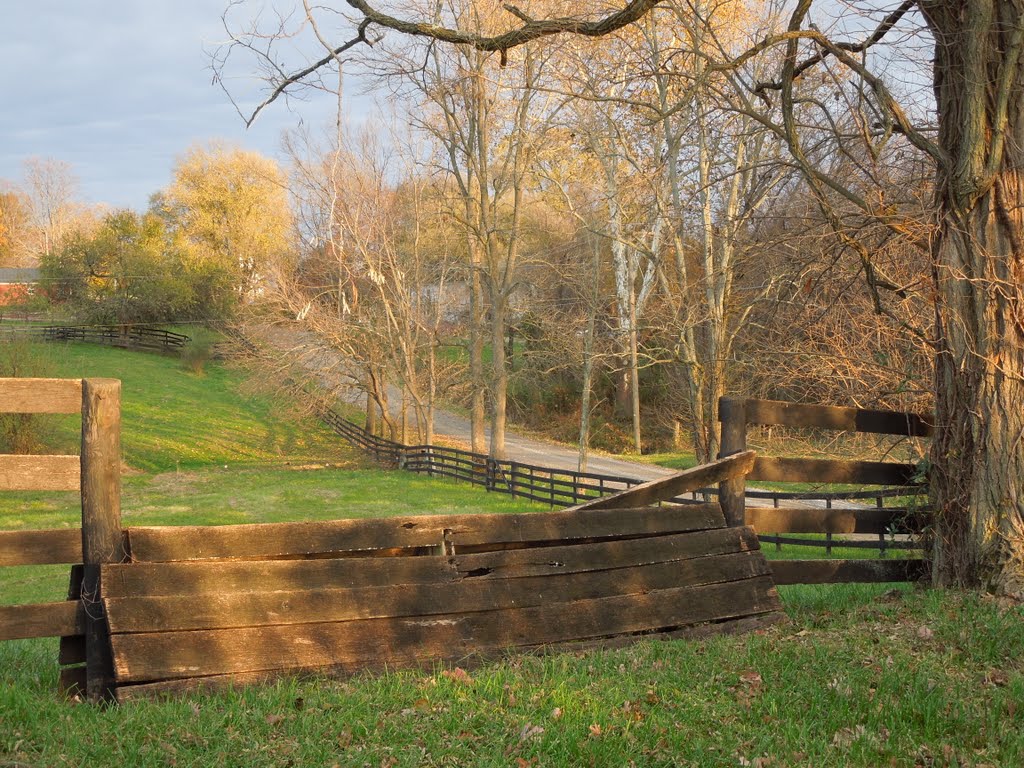 Catoctin, VA, USA by Sergey Dickey