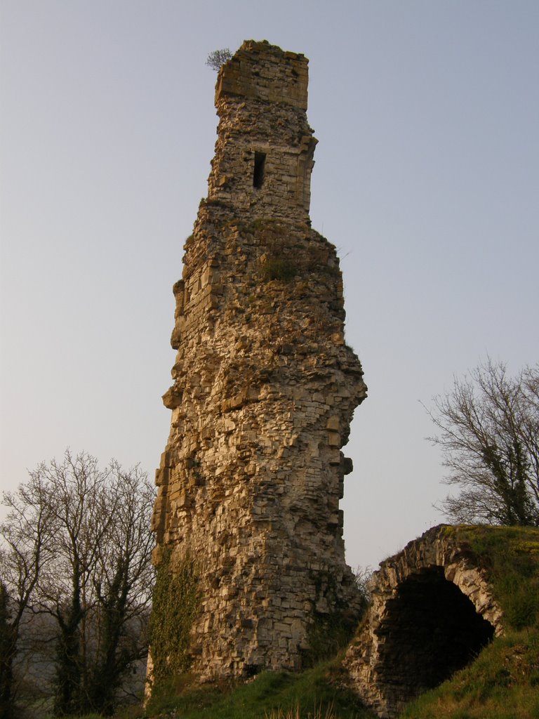 Haut du château de Bainville aux Mirroirs by pavillon.bayon