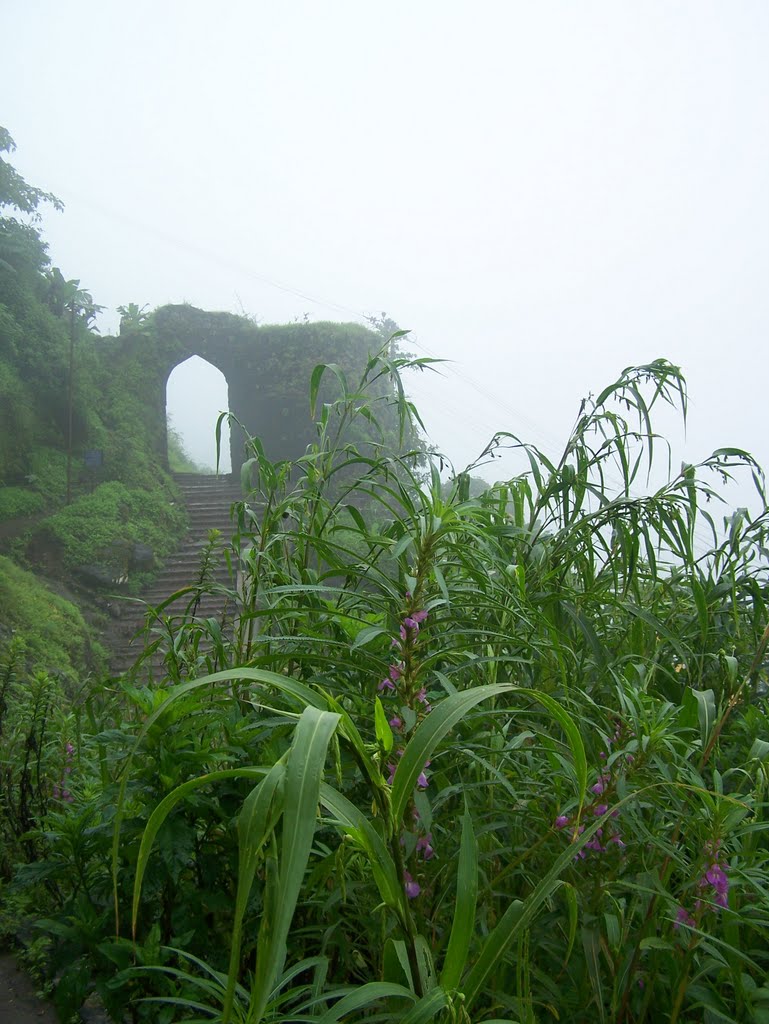 Sinhagad in Mansoon by psalil