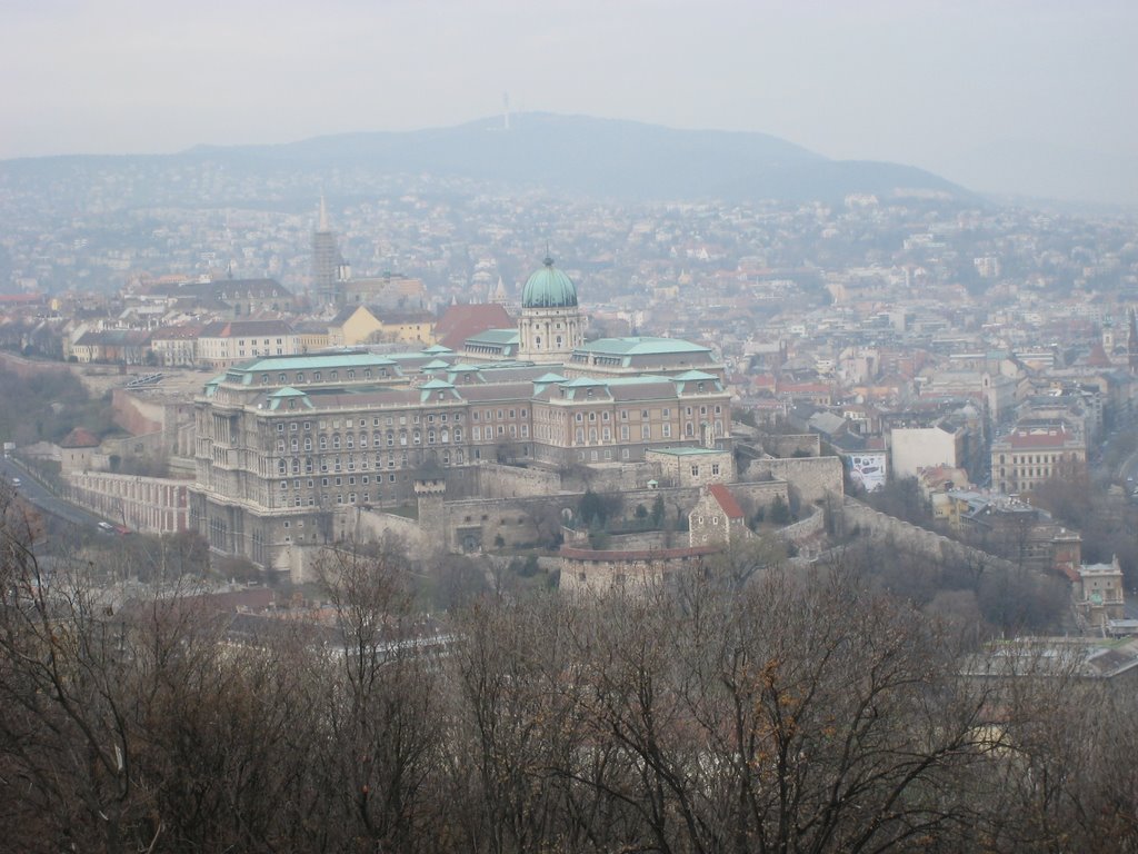 Buda Castle royal palace by MissTigrou