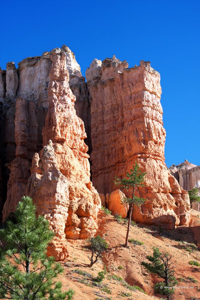 Bryce Canyon National Park - Mossy Cave by Thomas Galenbeck