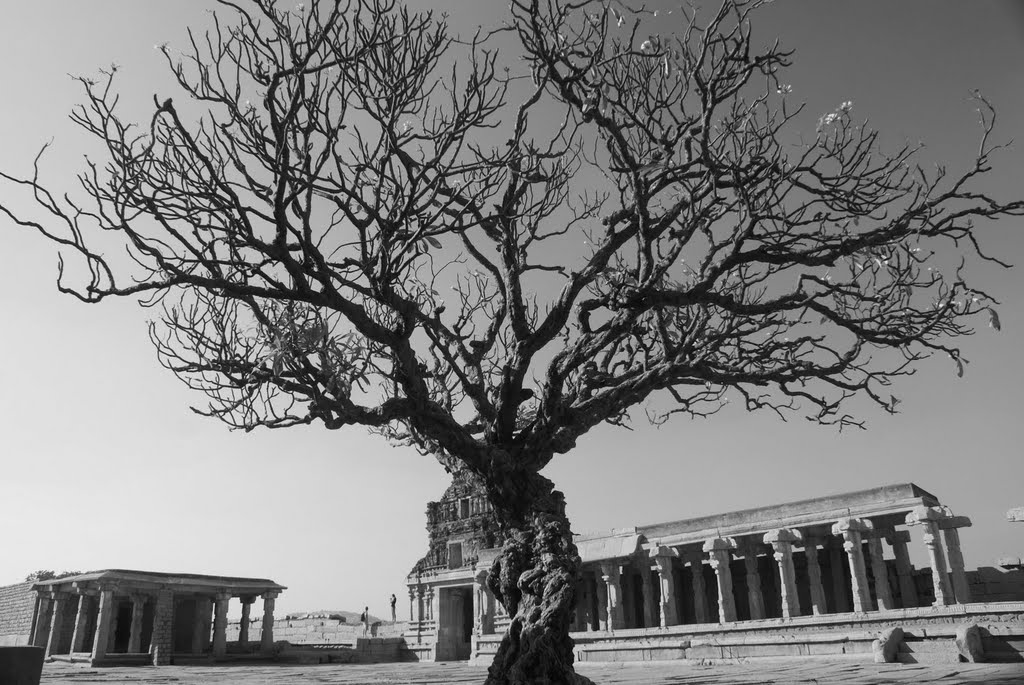 Vittala Temple, Hampi by Sanjay P. K.