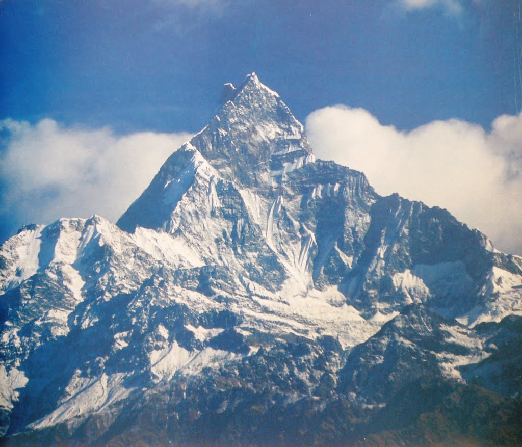 Machhapuchhare (in Nepali माछापुछ्रे = fish tail), 6993 m, a unique mountain and one of the most beautiful peaks all in the world! It towers more than 6000 meters above Pokhara by Johaarjoshimanth Ghaurinanda