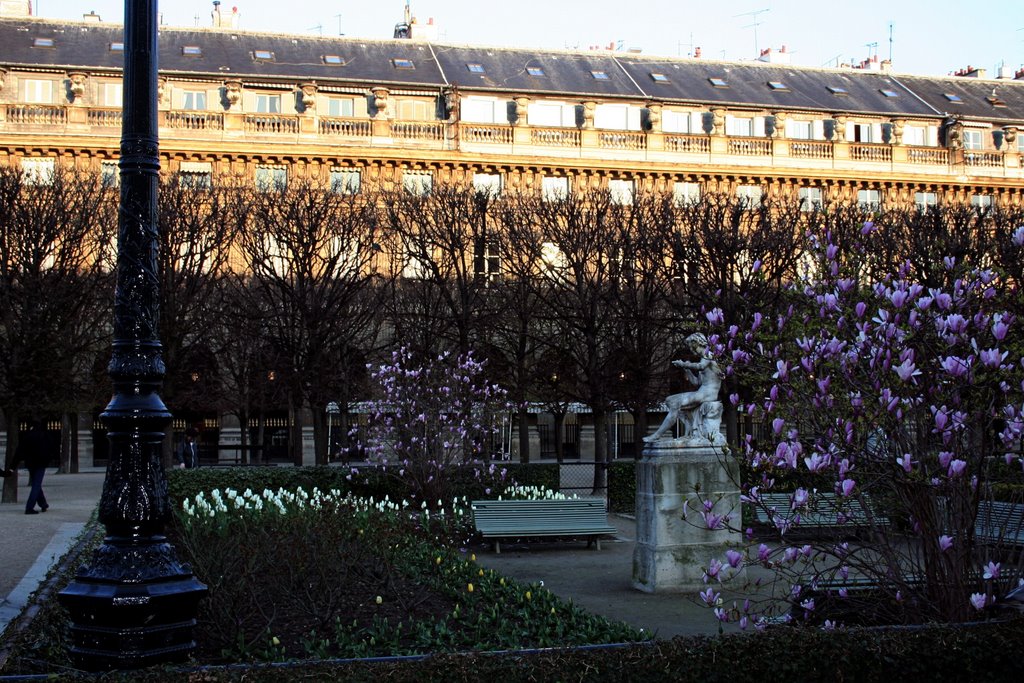 Palais Royal - Le jardin by Alain libouban