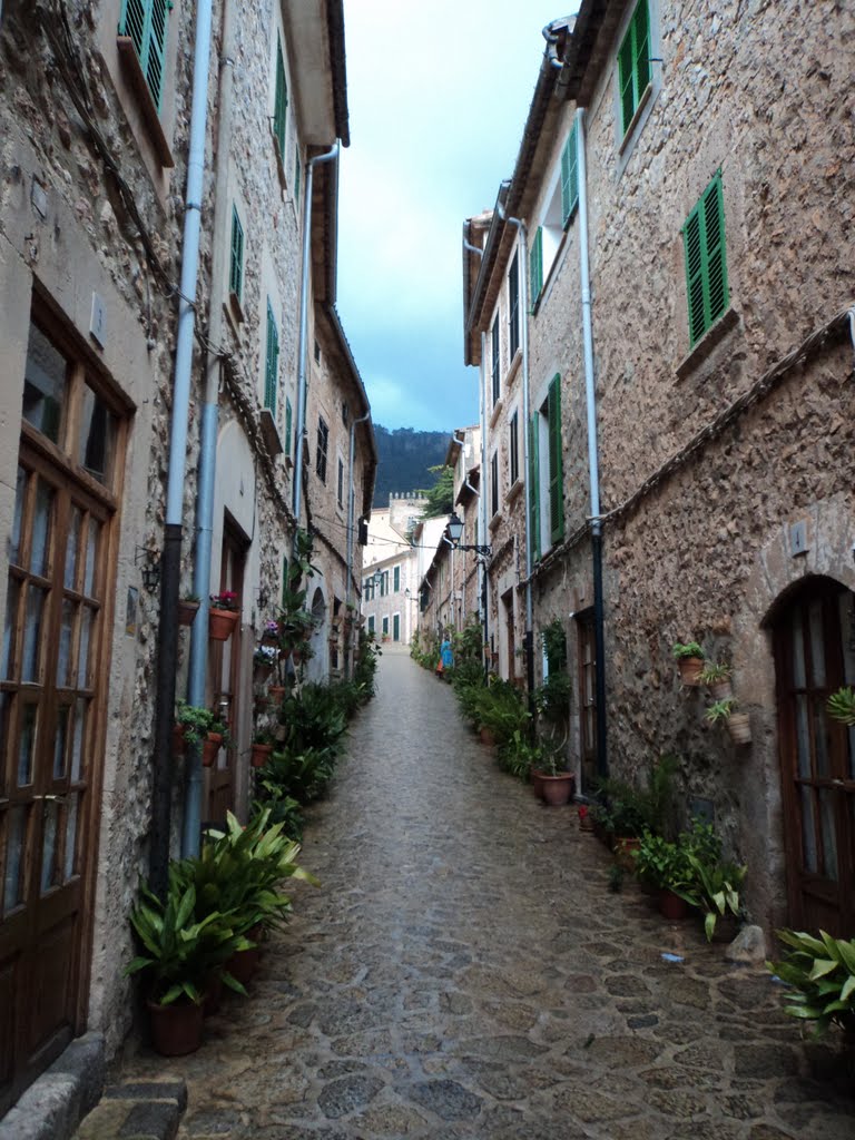 07170 Valldemossa, Illes Balears, Spain by Luin Mena