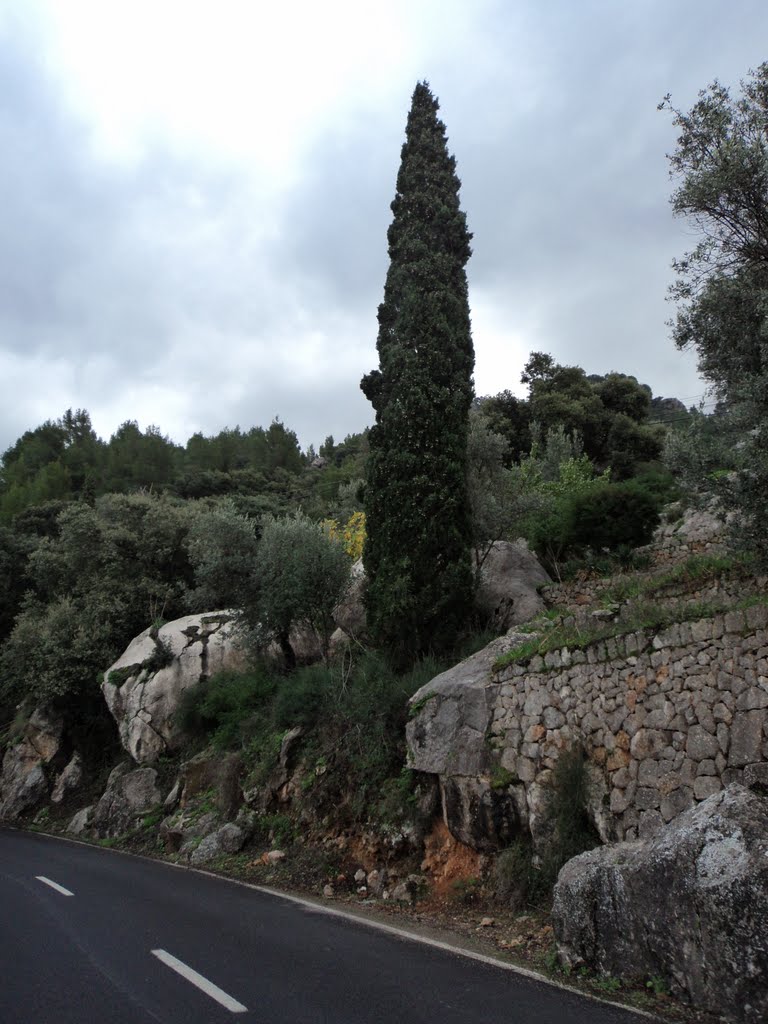 Deià, 07179, Balearic Islands, Spain by Luin Mena