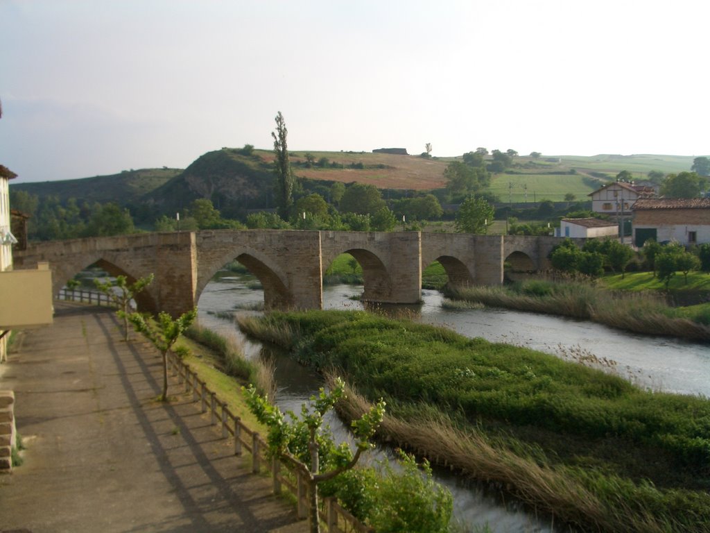 Puente Armiñon by teo269