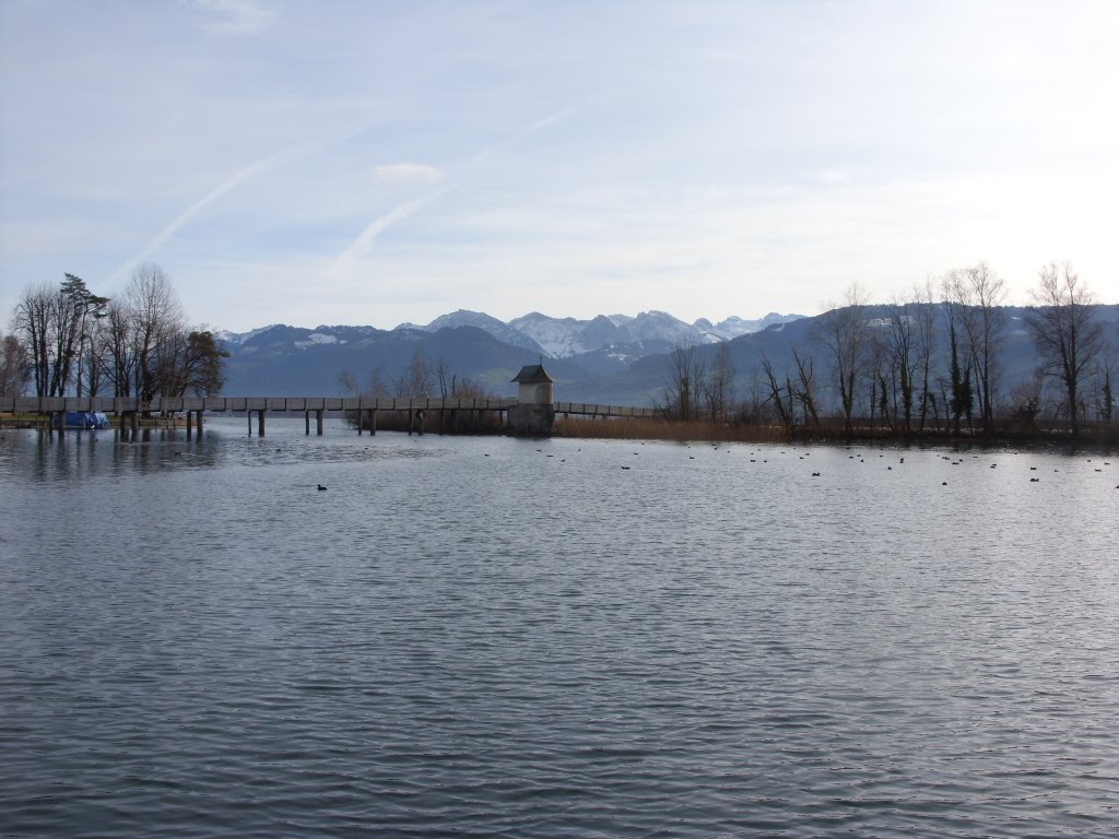 Steg und Alpenpanorama am Zürichsee by Sia1806