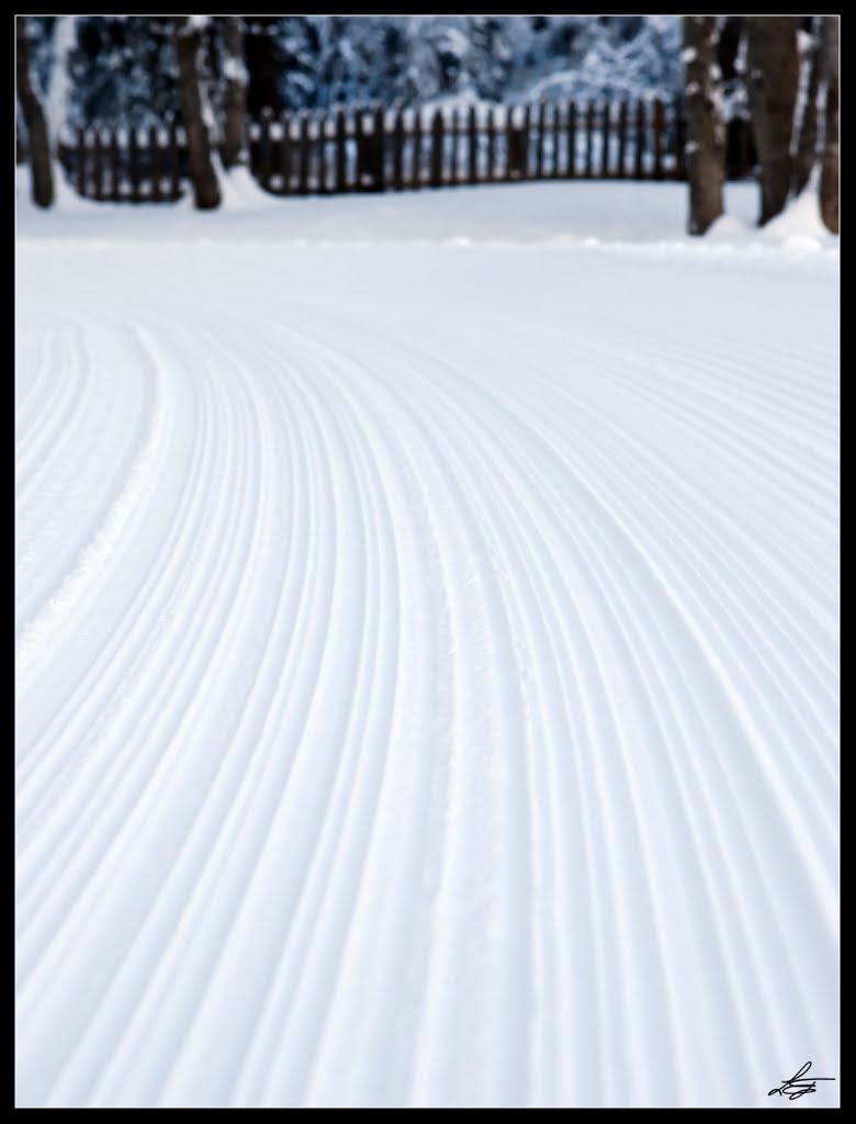 Snowrails by © Emanuele Leoni