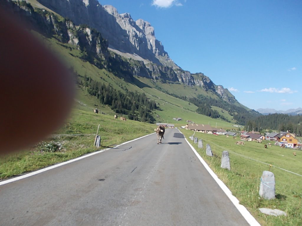 AUF DER KLAUSEN PASS STRASSE,KUH, GLARUS 8.2011 KAI by kai scherer