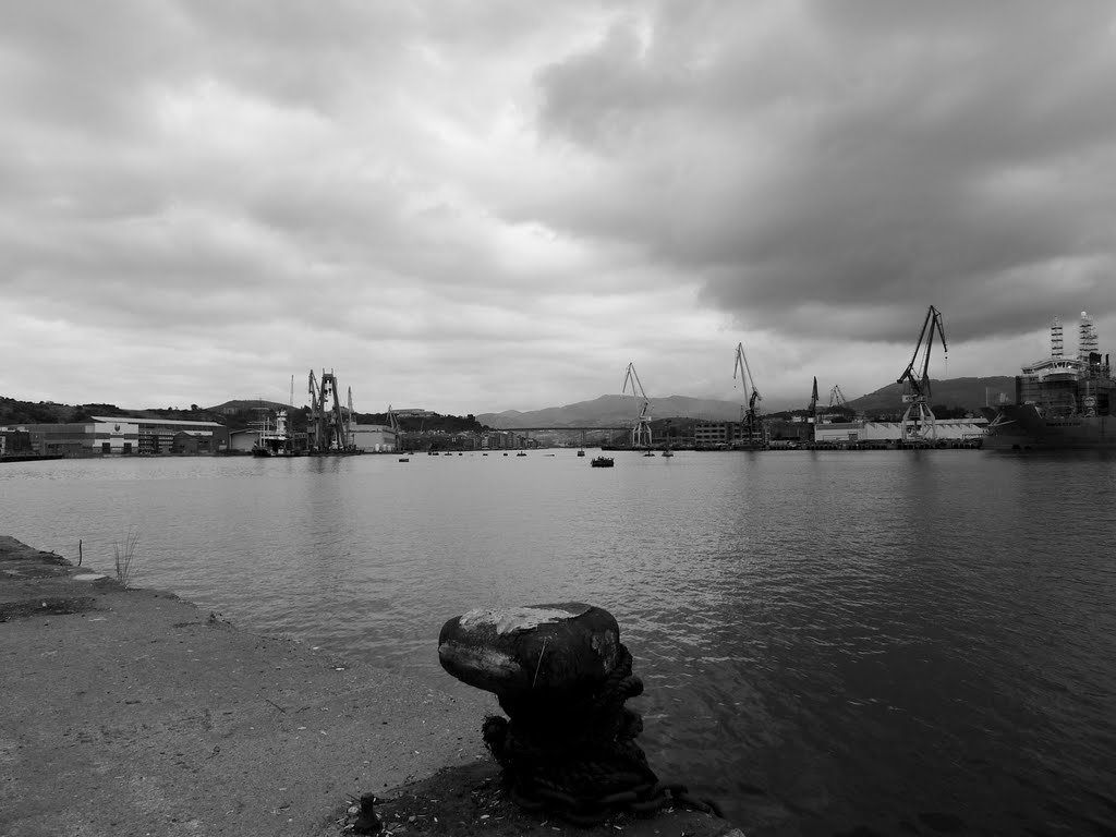 Looking up the river from Astrabadua by Tim Tregenza