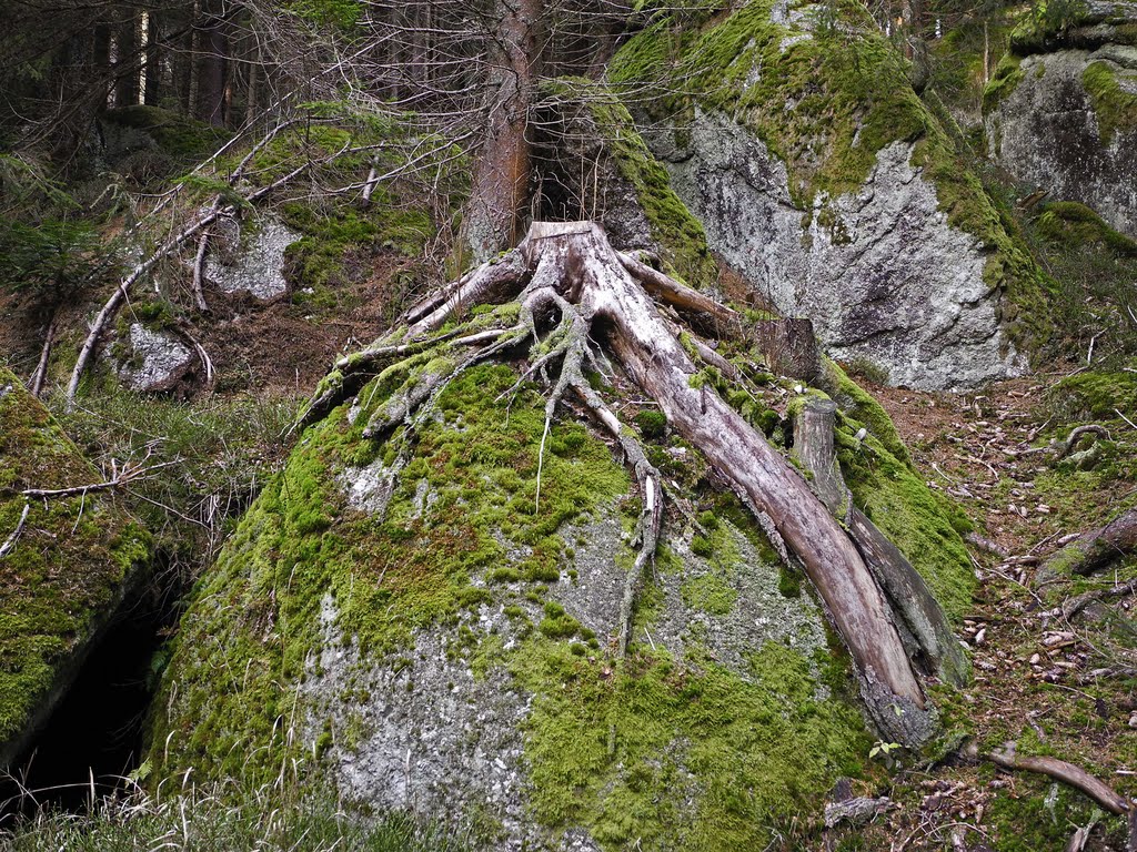 Bad Traunstein am Tauweg by Werner Röder